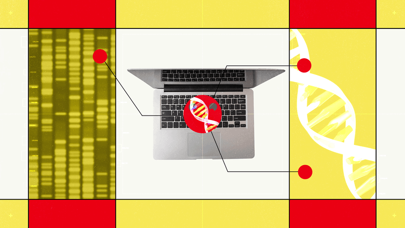 Hugging Face’s New AI Biology Model Lets You Chat With DNA — Wired, Boston Technology news