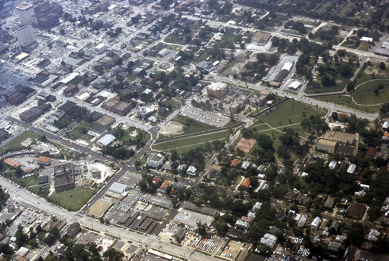 THE JAXSON | The oak tree that remembers Black Bottom — Jacksonville Today, Boston Schools news