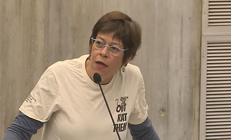 Allston Rat City? More like Boston Rat City, with rat amusement parks, rat buffets and rat highways, disgusted residents tell City Council — Universal Hub